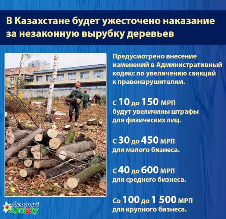 На сколько увеличат штрафы за незаконную вырубку деревьев в Казахстане?