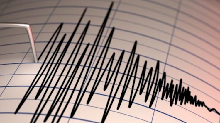 В 380 километрах от Алматы произошло землетрясение