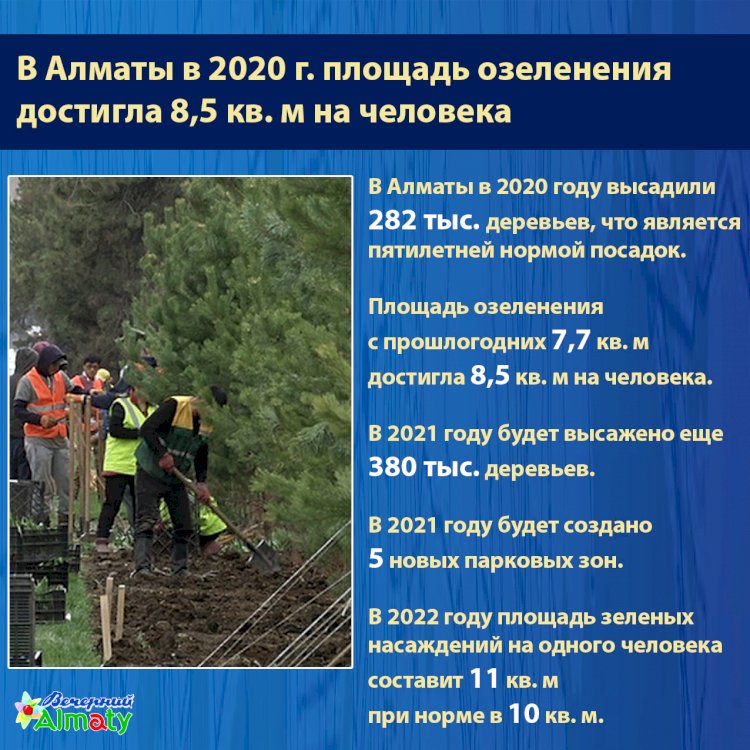 В Алматы в 2020 г. площадь озеленения  достигла 8,5 кв. м на человека