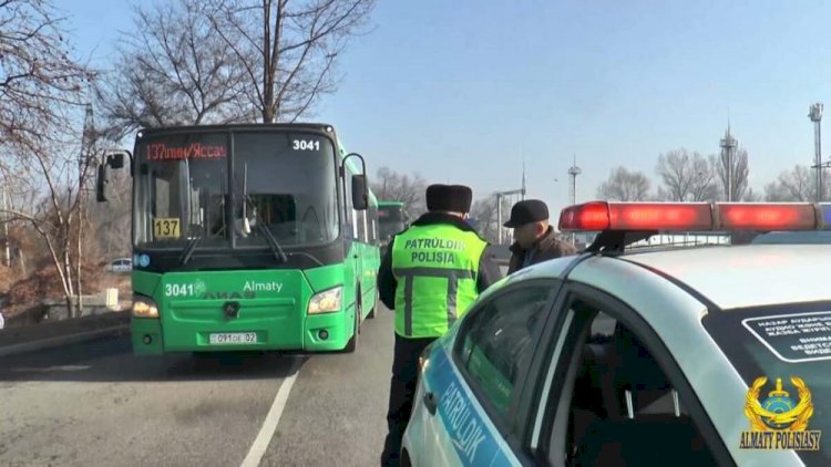 Разговор по телефону – самое частое нарушение водителей общественного транспорта