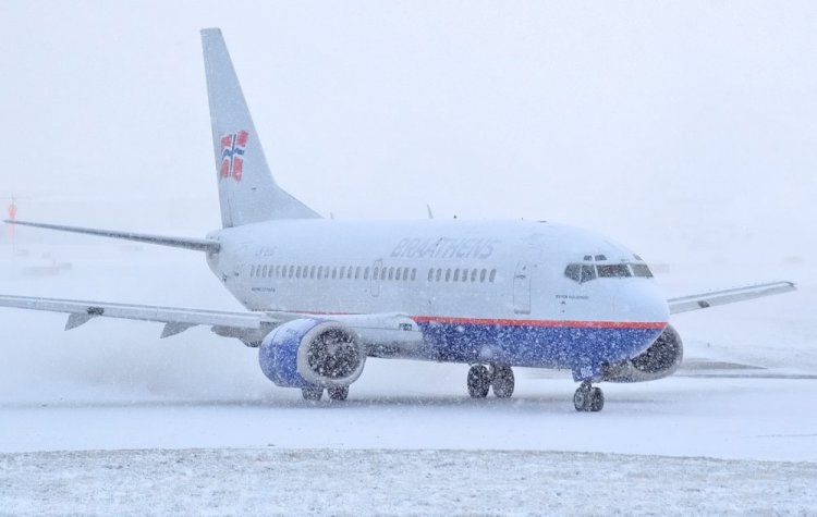 Более 220 человек прилетели в Алматы без ПЦР-справок