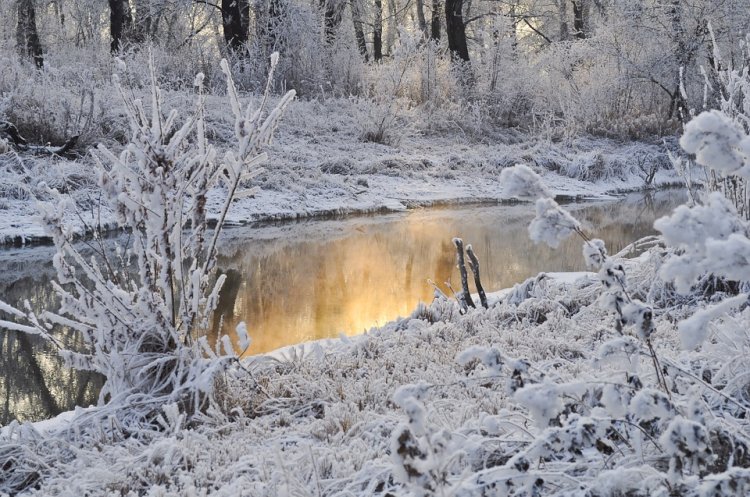 Снег и понижение температуры ожидаются в Казахстане в ближайшие дни