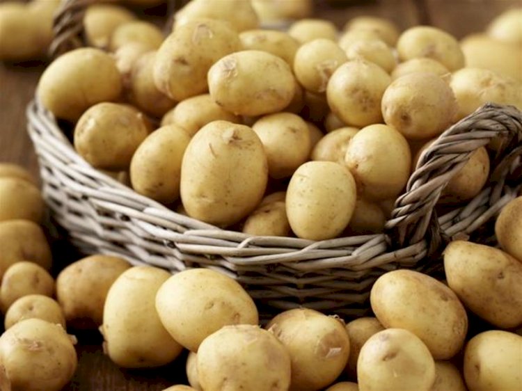 Минсельхоз Казахстана расследует инцидент с ввозом картофеля из Германии в Россию