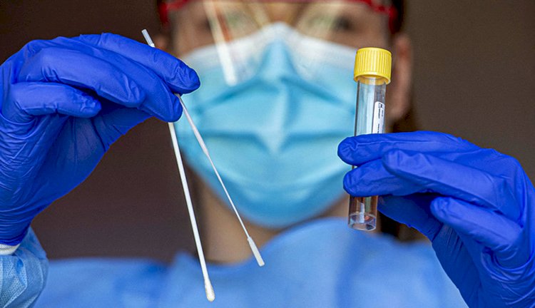 В РК возбуждено 30 уголовных дел по подделке ПЦР-тестов и паспортов вакцинации