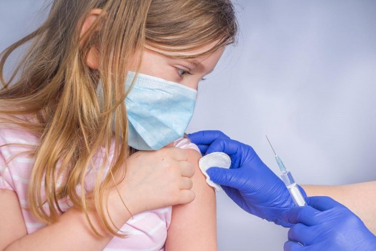 Pfizer заявила об эффективности своей вакцины для детей от 12 до 15 лет