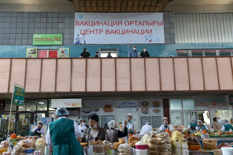 В волонтерской миссии могут участвовать не только медики