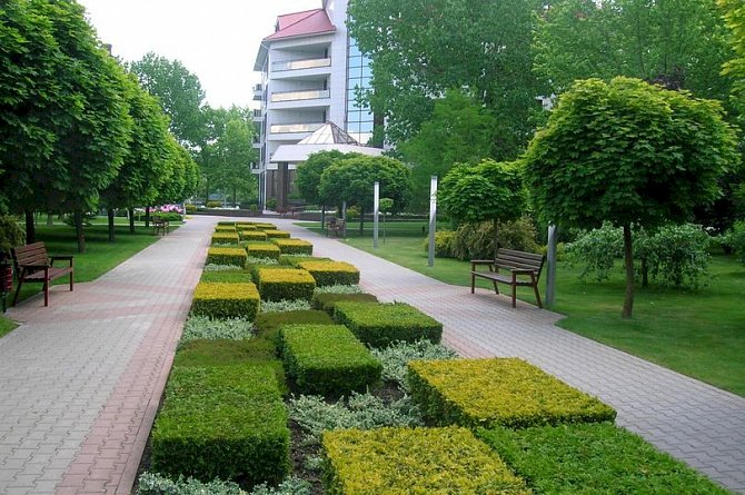 В Алматы создается Садовый кластер