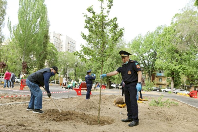 Бакытжан Сагинтаев: В Алматы будет возобновлена работа «Зеленстроя»