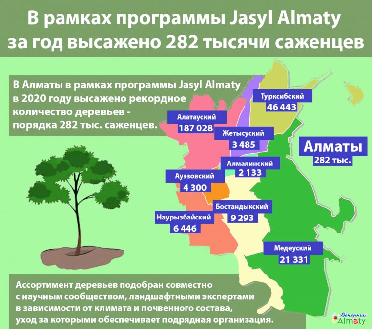 В рамках программы Jasyl Almaty за год высажено 282 тысячи саженцев