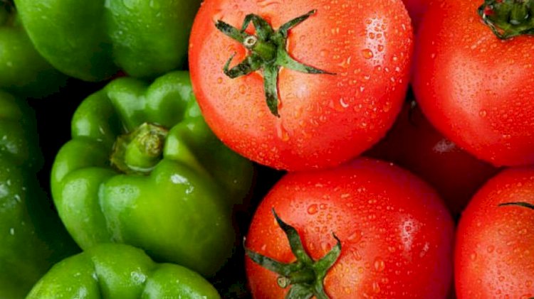 В туркестанских томатах и перцах обнаружен опасный вирус