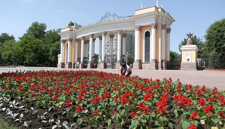 В Алматы посетители ЦПКиО будут делать селфи на фоне ковров из красных сальвий и цимерарий