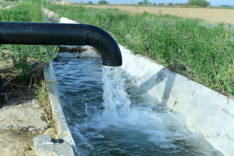 Таджикистан поделится с Казахстаном поливной водой