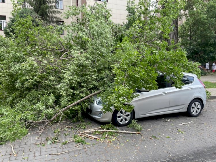 Последствия непогоды в Алматы: повреждены четыре автомобиля