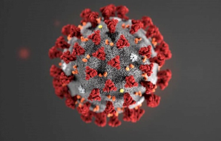 Закон о COVID-19 вынесли на референдум в Швейцарии