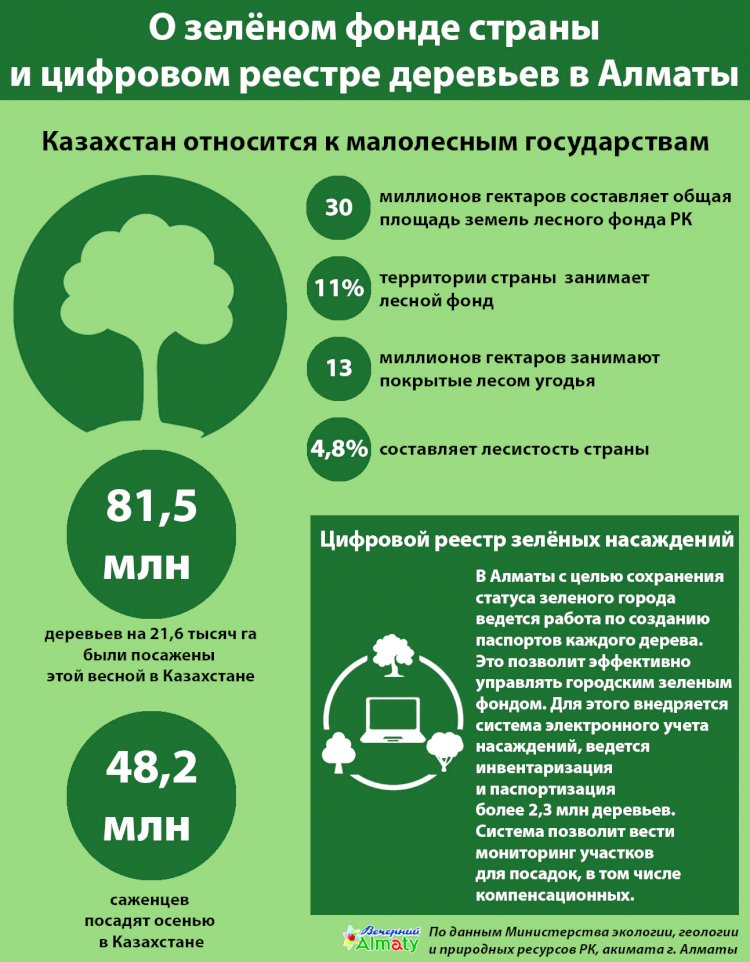 О зелёном фонде страны и цифровом реестре деревьев в Алматы