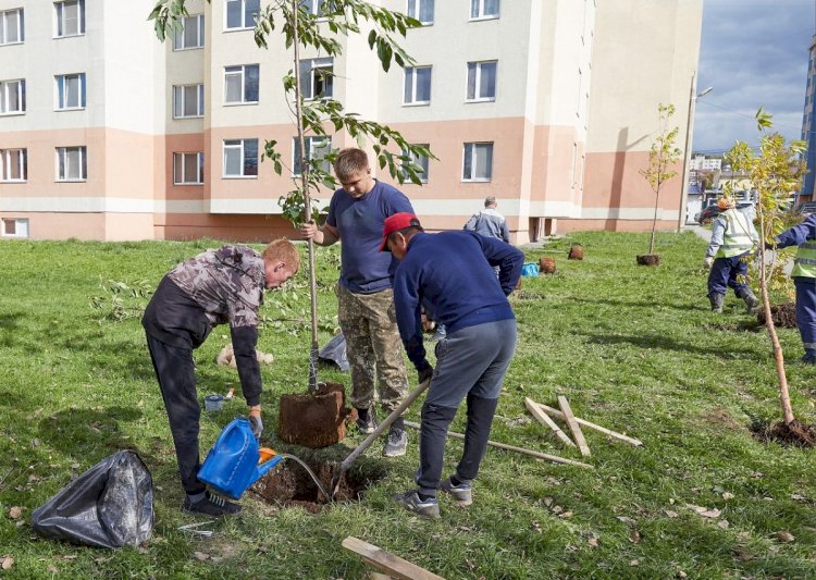 Как общественность Алматы помогает сохранению зеленого фонда города