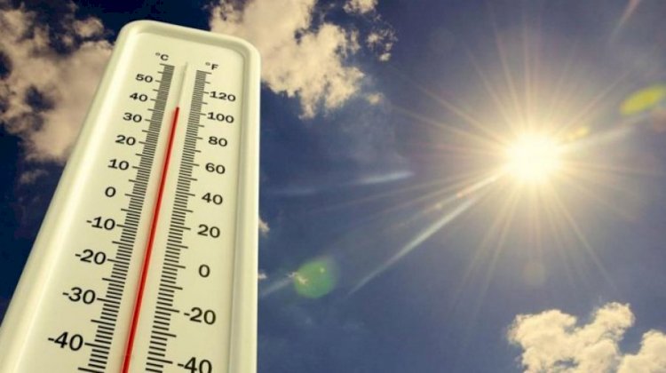 Жара до 42 градусов ожидается в Казахстане