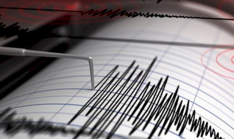 Землетрясение магнитудой 4.1 произошло на юго-востоке от Алматы