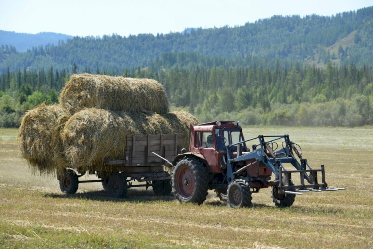 Аскар Мамин поручил активизировать работу по заготовке кормов