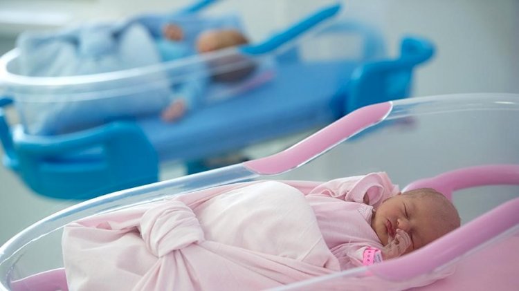 Рост рождаемости зафиксирован в Казахстане