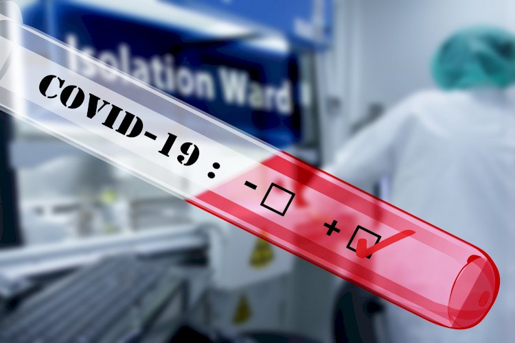 COVID-19 в мире: в Германии судят медика, применившего эвтаназию к двум больным КВИ