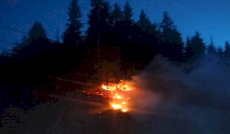 Запуск салюта привел к возгоранию склона горы в Алматы