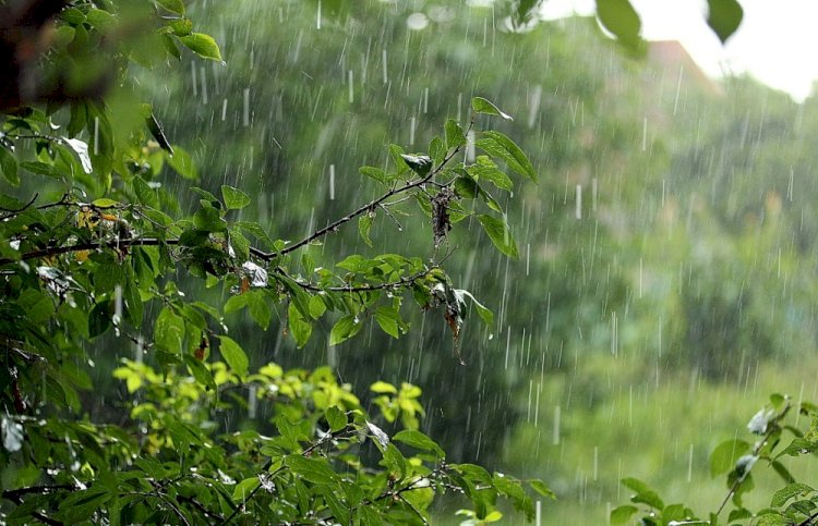 Дожди с грозами ожидаются в Казахстане