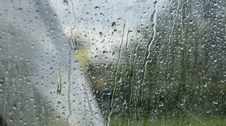 Дождливые выходные ожидаются в Казахстане