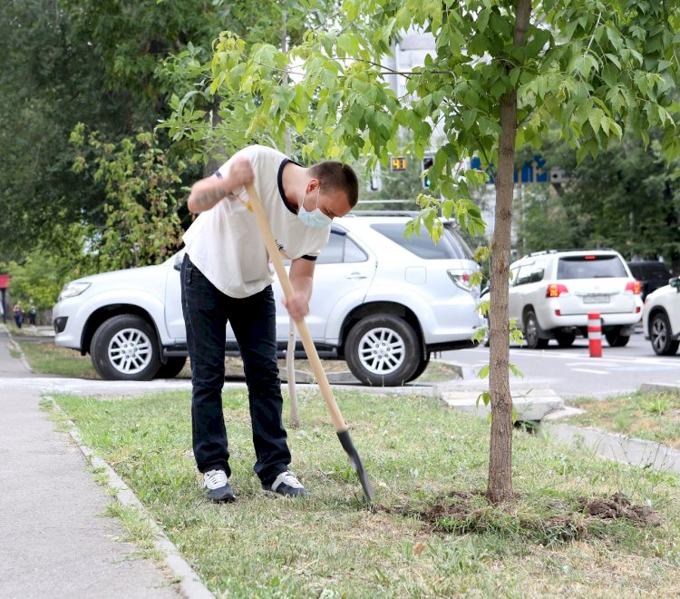 В Алматы запущен электронный реестр зеленых насаждений