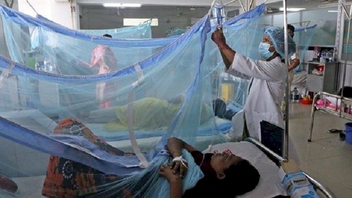 Число жертв лихорадки денге на севере Индии достигло 114
