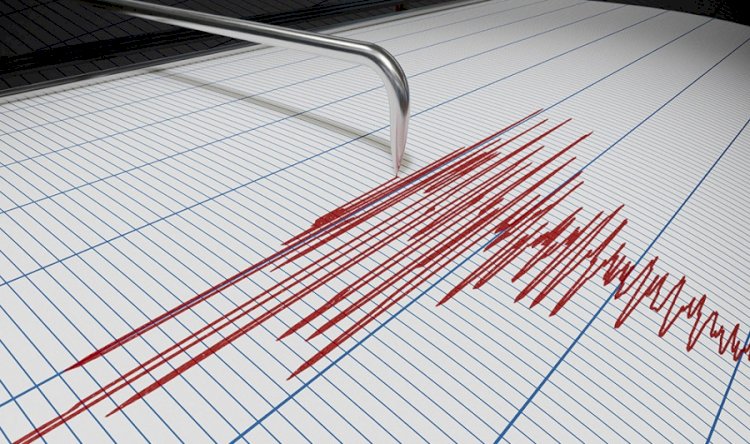 Землетрясение произошло в 187 километрах от Алматы