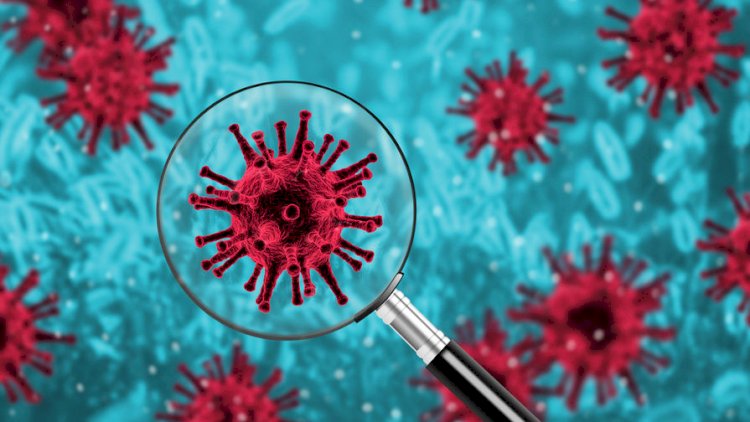 Сингапурский профессор предупредил о появлении нового коронавируса SARS-CoV-3