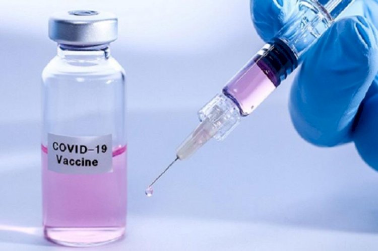 Во Франции доказали, что вакцинация резко сокращает риск смерти от КВИ