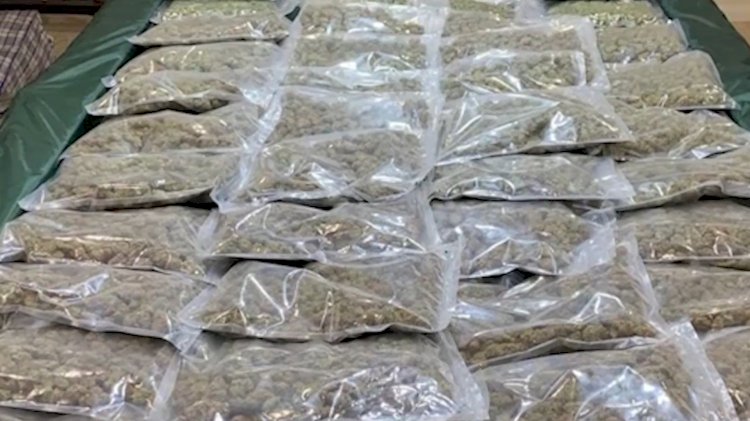 Хранил марихуану в бочках наркоделец в Алматинской области
