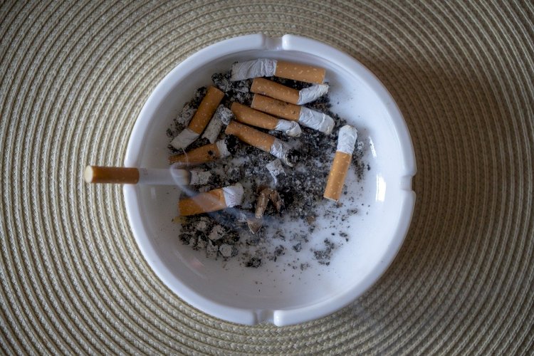 Почти 13 млн табачных изделий в день потребляют курящие казахстанцы
