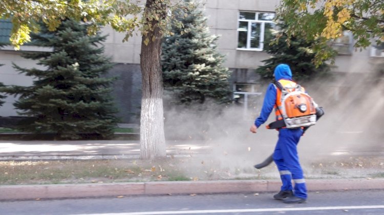 Дежурный по городу. Экологическое благополучие