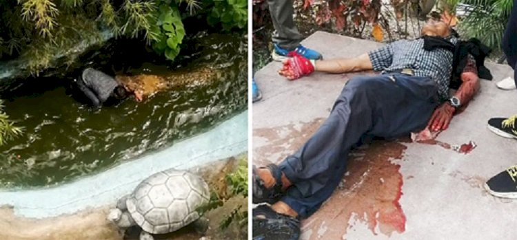 Мужчина едва не погиб, приняв живого крокодила за муляж