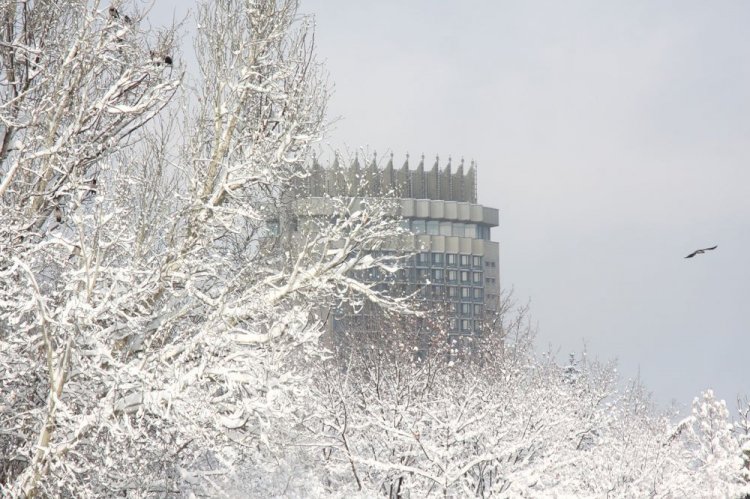 Какой будет погода в Алматы на предстоящей неделе