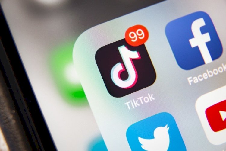 В Узбекистане предложили адаптировать TikTok к национальным особенностям