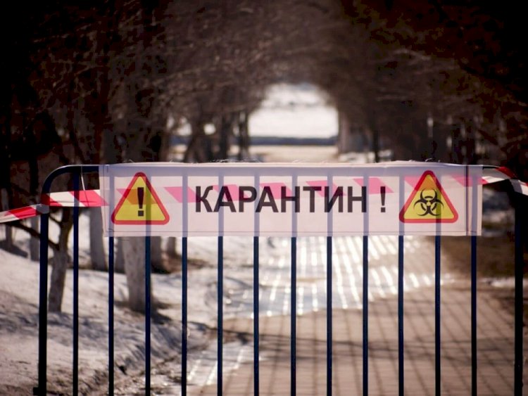 В Алматинской области усиливается карантин
