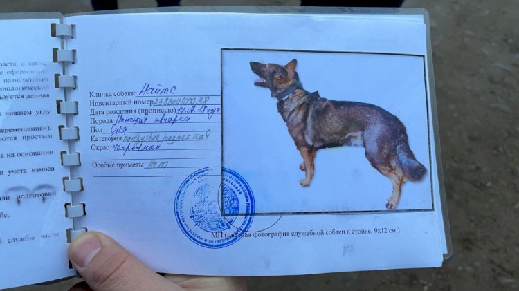 Полицейские вызволили из плена служебную собаку, похищенную во время беспорядков