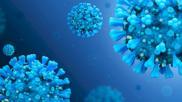 Правда и мифы об омикроне: что нужно знать о новом штамме коронавируса