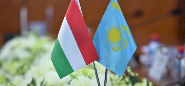 Венгрия предоставит казахстанцам 250 образовательных грантов