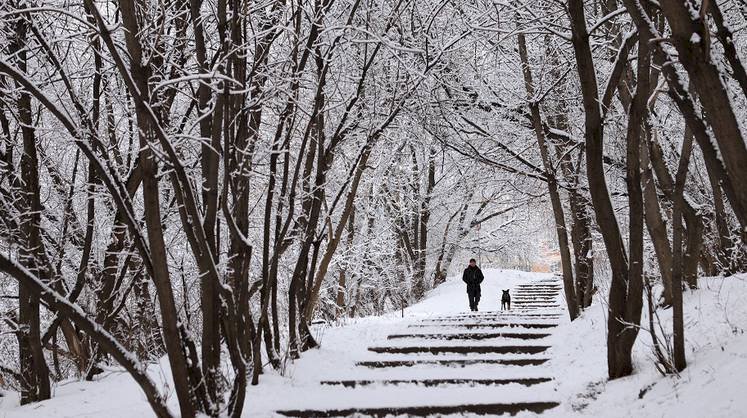 Какой будет погода в Алматы 28 января