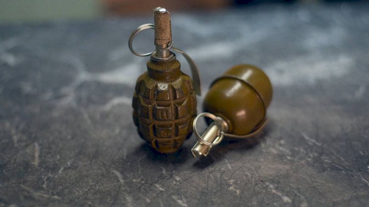 Более 10 гранат и другое оружие изъяли полицейские в микрорайоне «Шанырак-2»