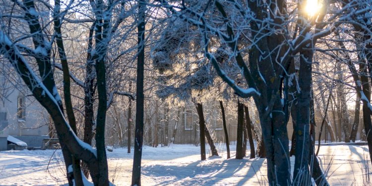 Какая погода ждет алматинцев в первый день февраля