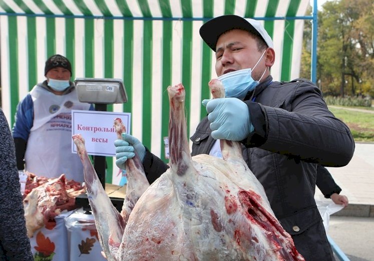 Казахстанских мясников обучили правилам халяльного забоя скота