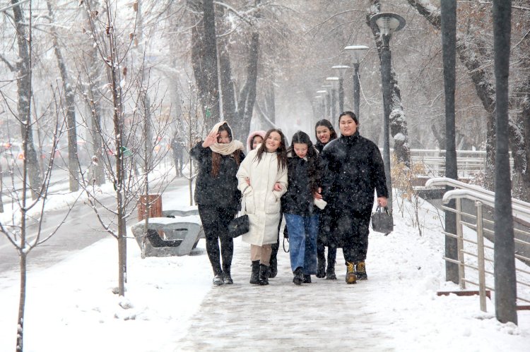 Дневник вакцинации: в Алматы от КВИ привились 1 080 105 человек