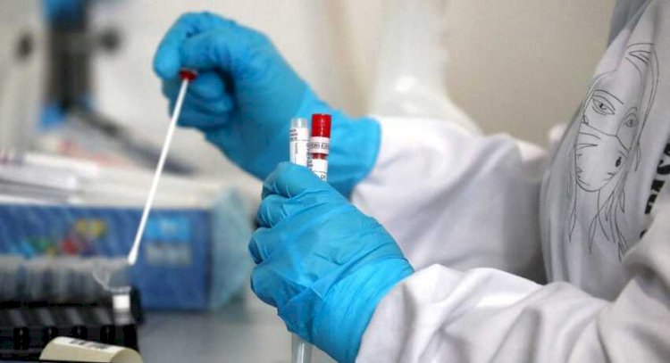 1173 человека заболели коронавирусом в Казахстане за сутки