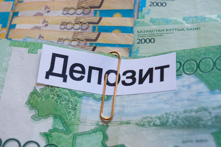 Программа защиты тенговых вкладов по депозитам физлиц разработана в Казахстане